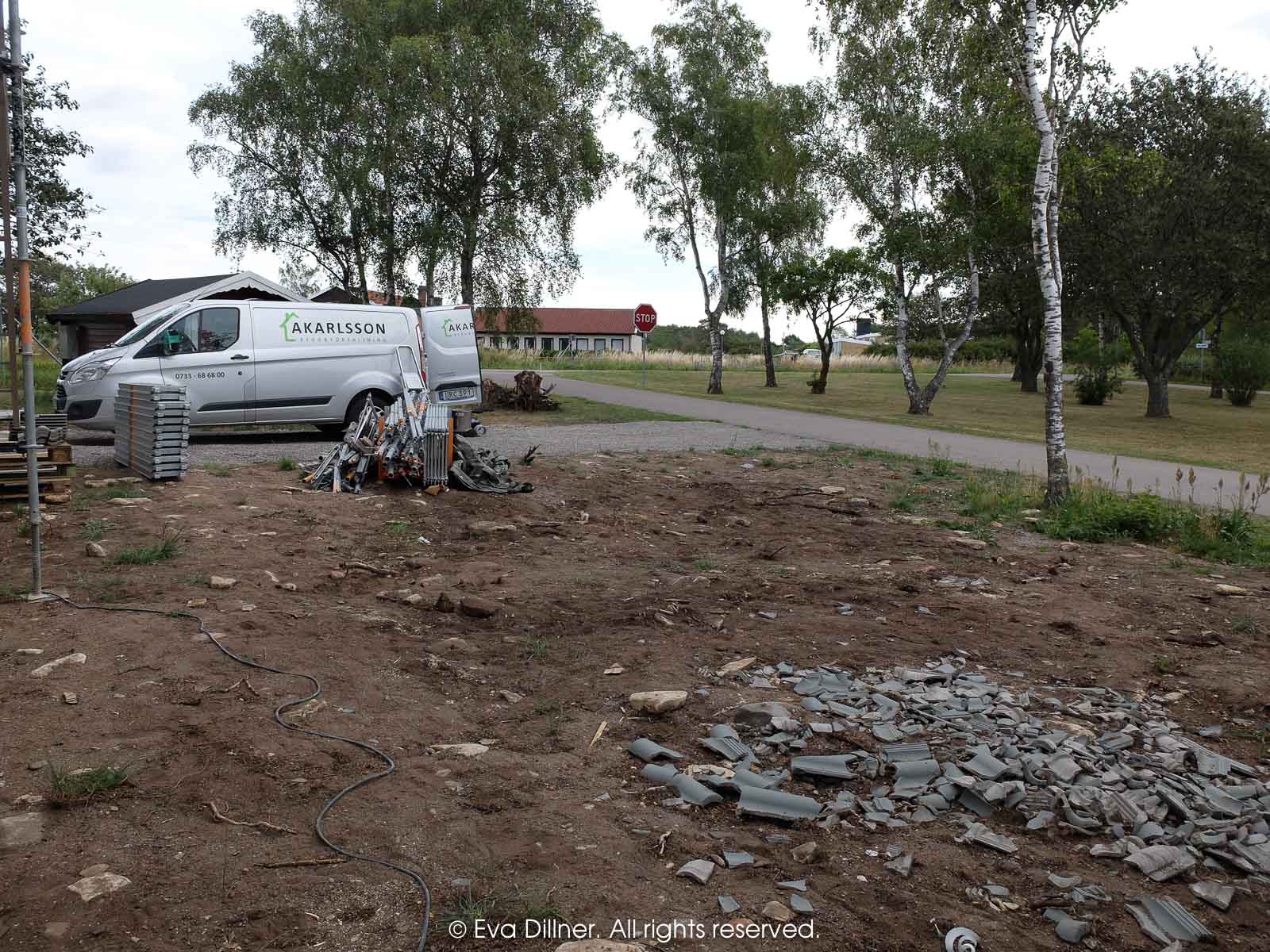 Bortom förnekelsens dimmor