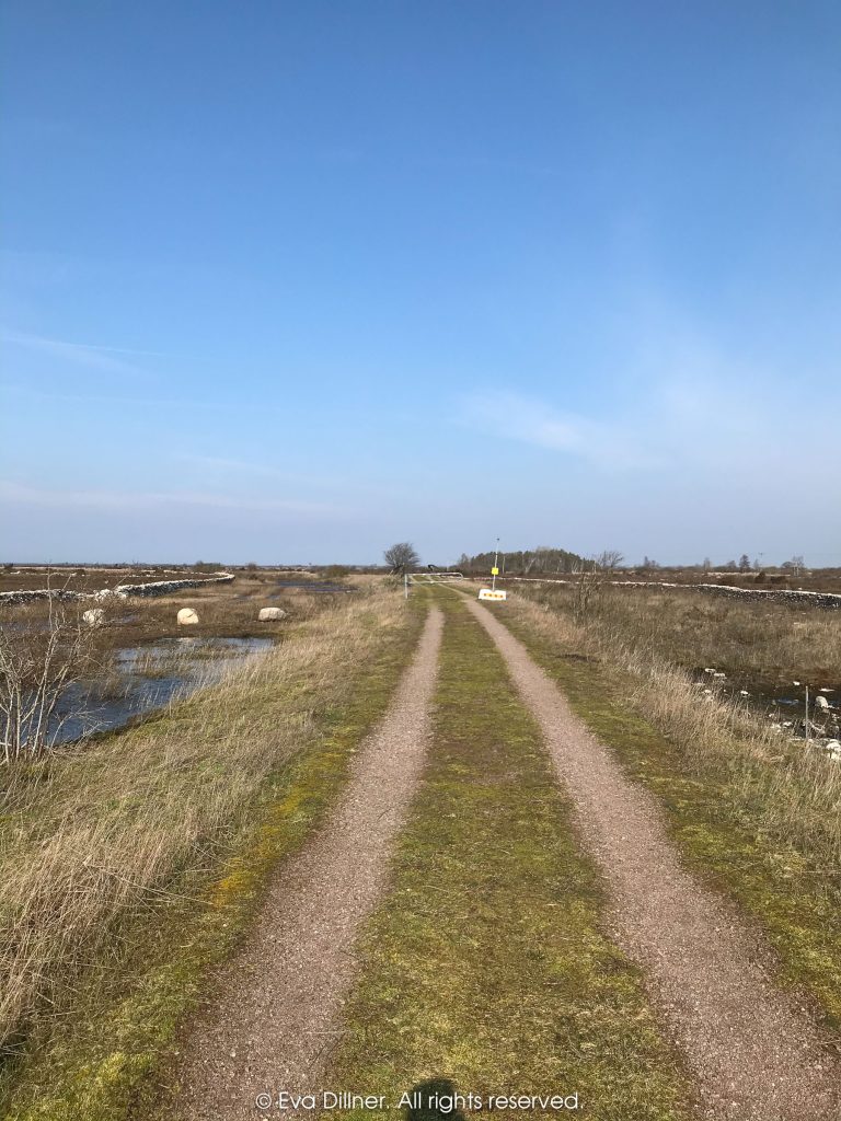 Skärlöv mot Kastlösa