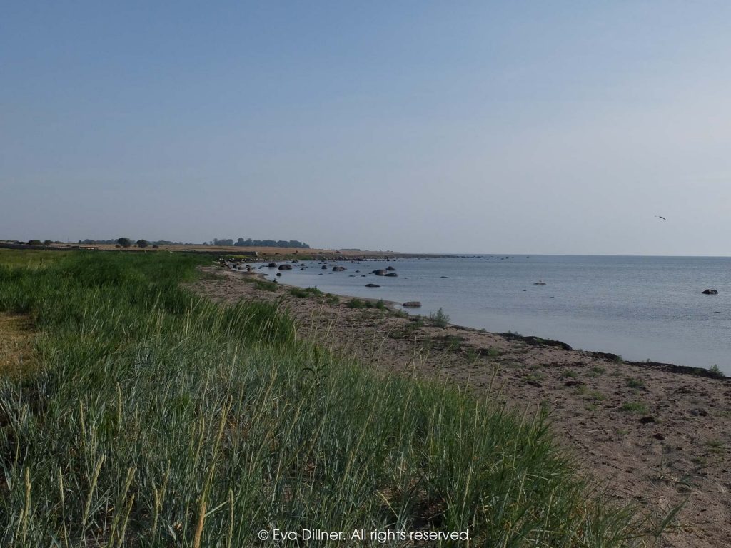 Parboäng. Den långgrunda naturstranden.