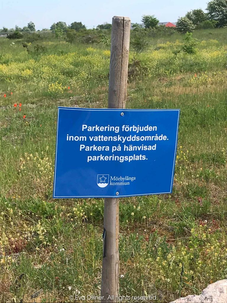 Vattenskyddsområde, men bilarna står överallt